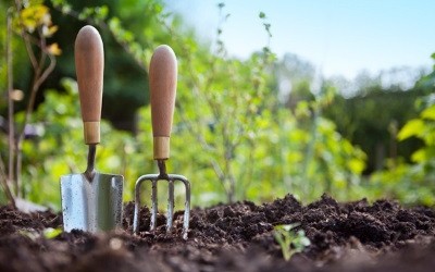 The Right Approach to Your Spring Gardening