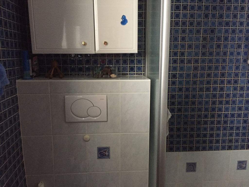 bathroom renovation 4