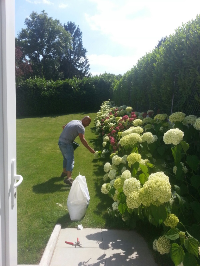 garden design 4