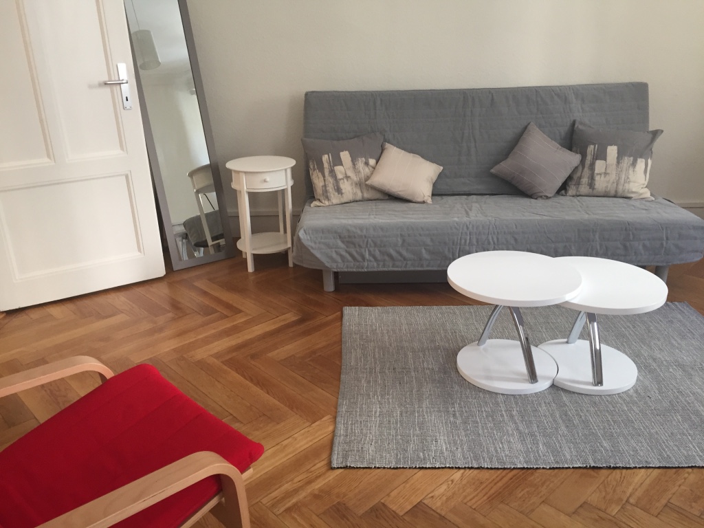 home renovation geneva 12