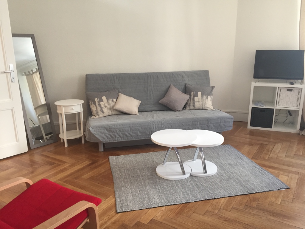 home renovation geneva 2