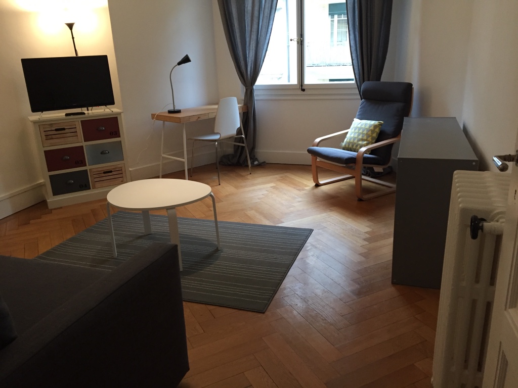 home renovation geneva