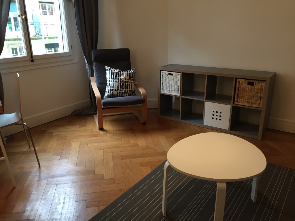home renovation geneva 8