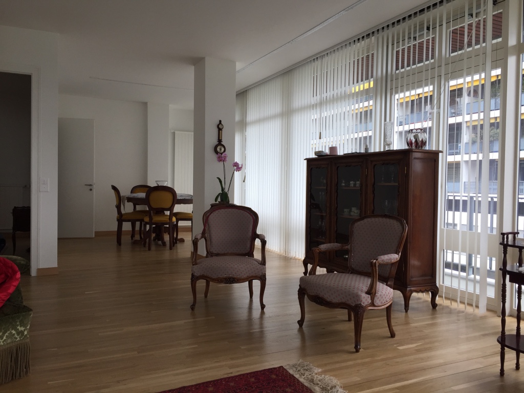home renovation geneva 9