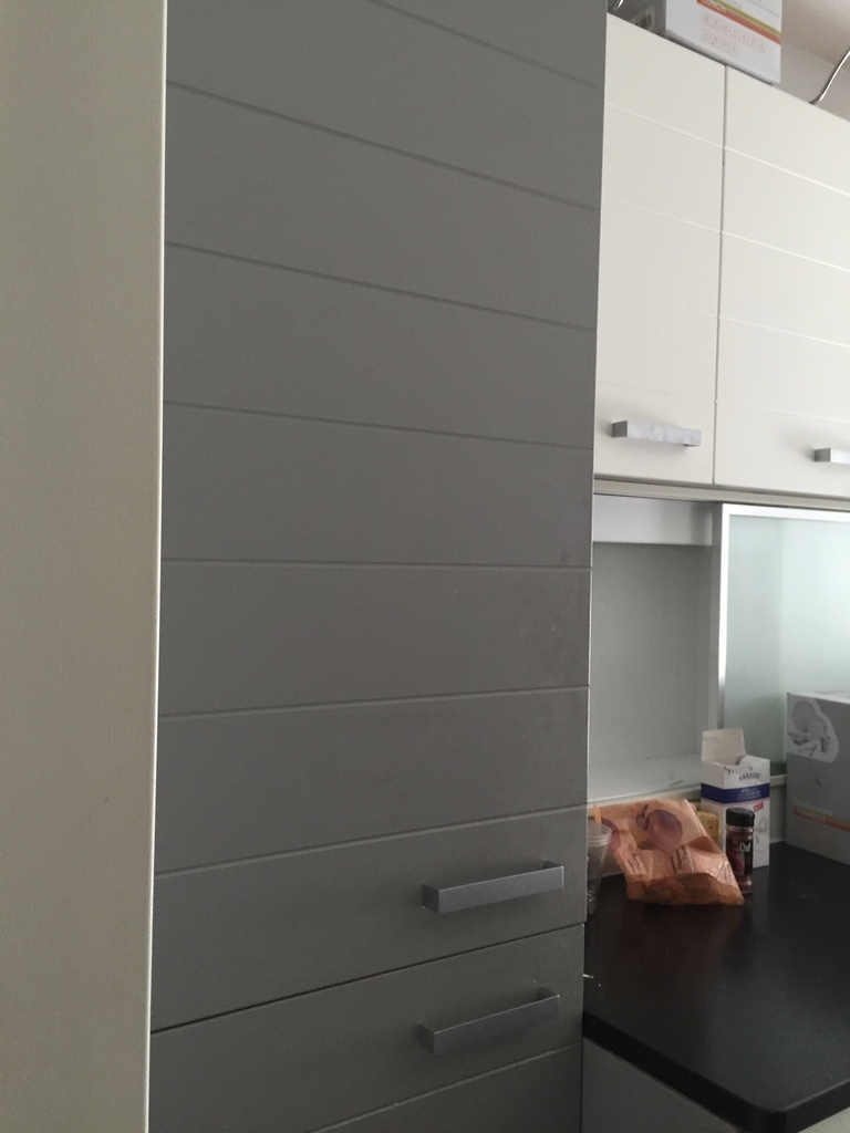 kitchen renovation geneva 3