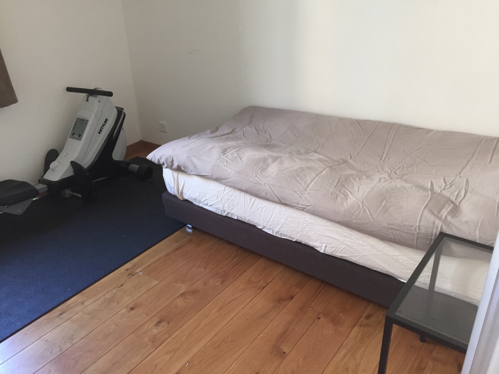 loft renovation coppet