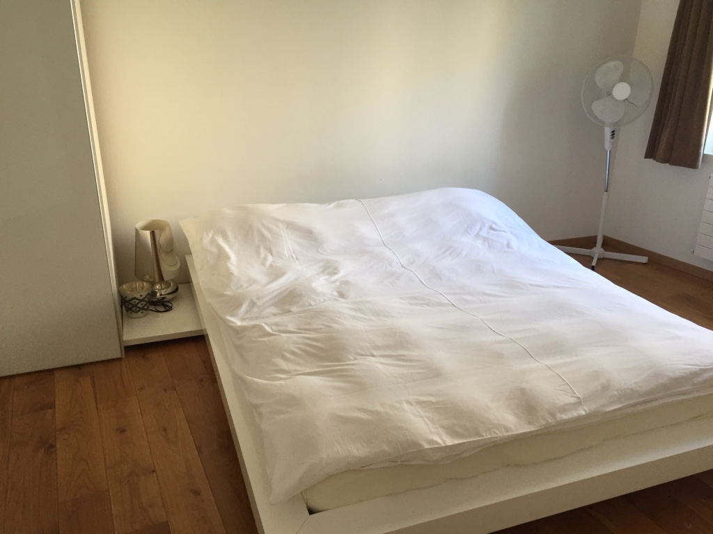 loft renovation geneva