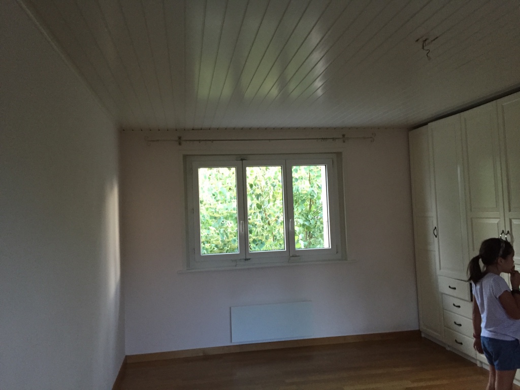parquet installation renovation geneva