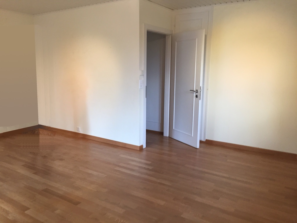 parquet installation renovation