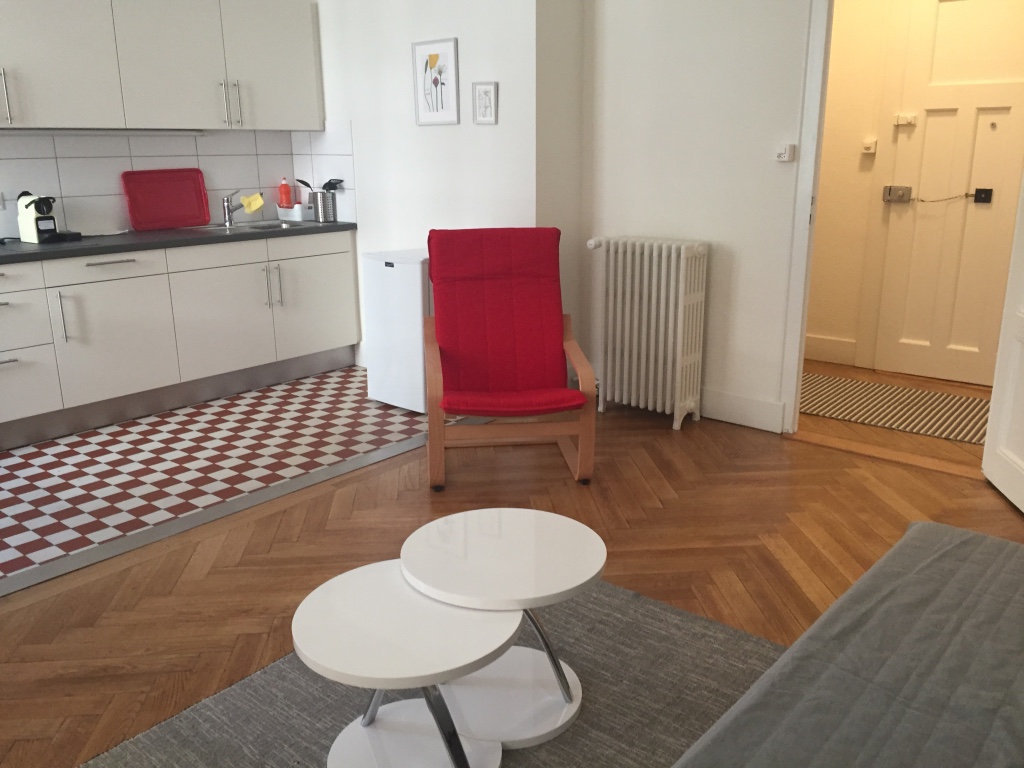 studio renovation geneva