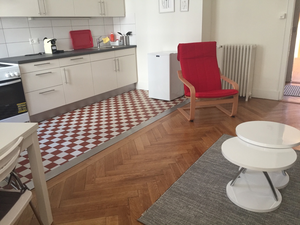 studio renovation geneva