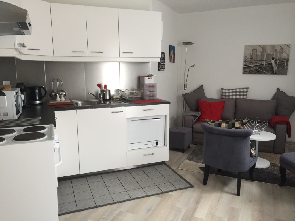 studio renovation geneva