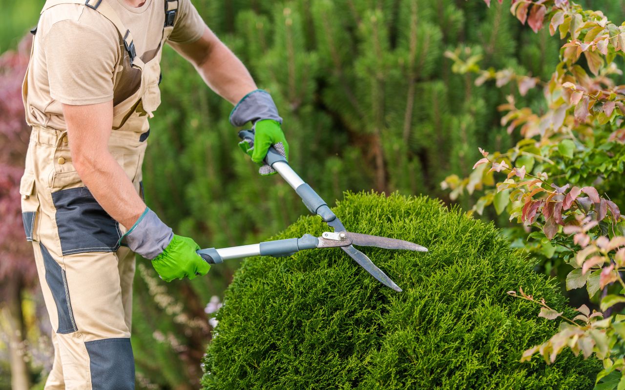 garden care geneva